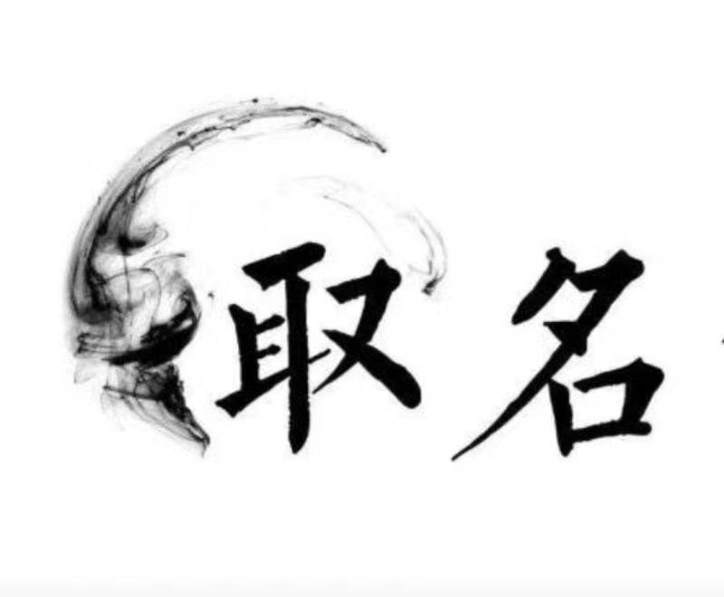  文成宝宝取名 大师一对一人工起名